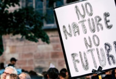 Our Planet's SOS It's Time for Bold Climate Action
